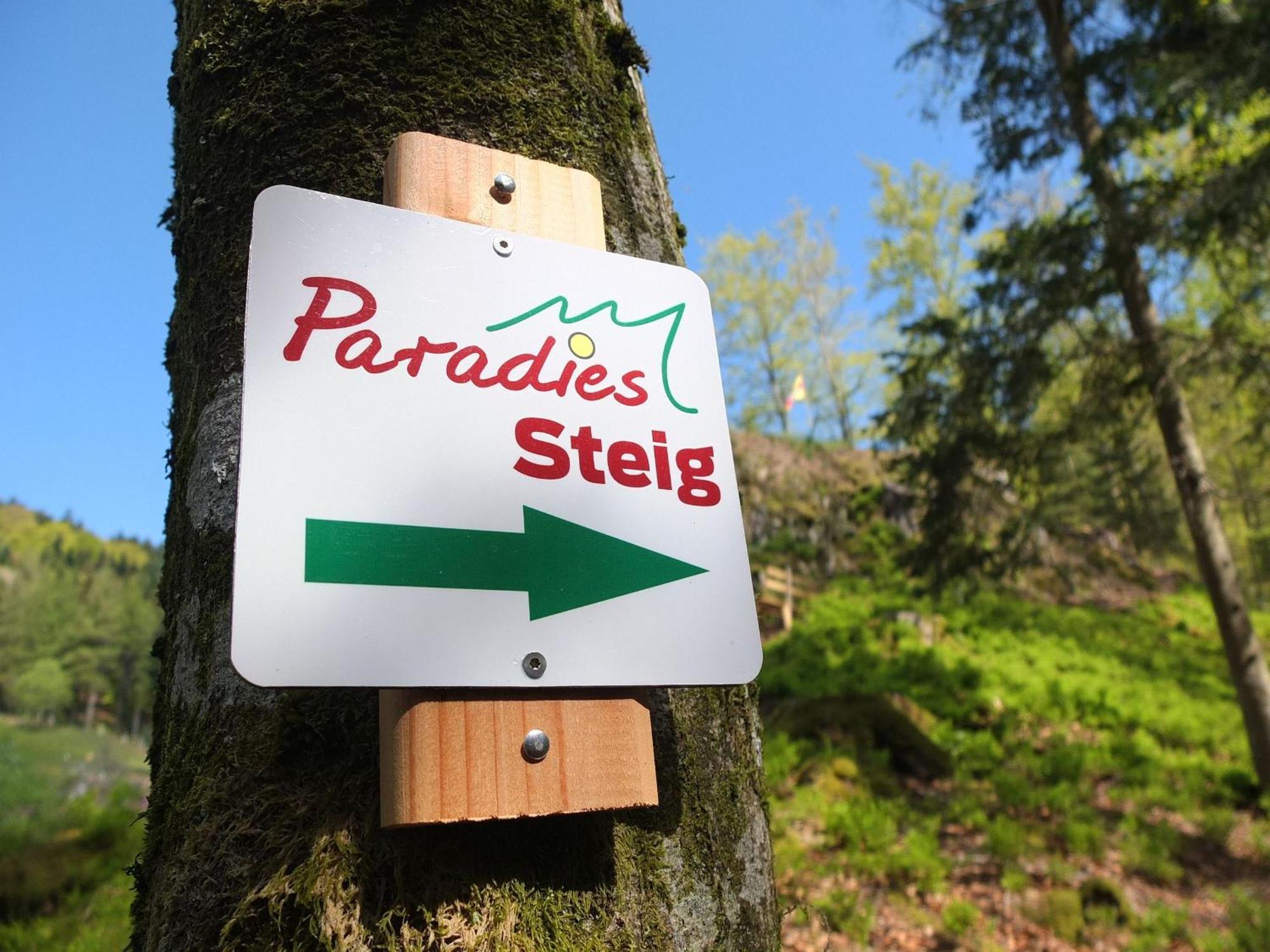Paradies Im Schwarzwald Bad Peterstal-Griesbach Exterior foto
